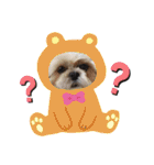 ころこちゃんの日常（個別スタンプ：11）