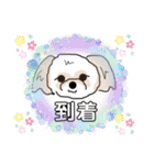 ころこちゃんの日常（個別スタンプ：17）