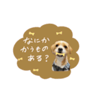 moca_12_15（個別スタンプ：2）