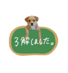 moca_12_15（個別スタンプ：6）