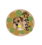 moca_12_15（個別スタンプ：9）