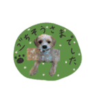 moca_12_15（個別スタンプ：12）