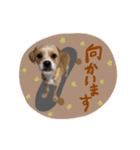 moca_12_15（個別スタンプ：14）