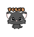 可愛いくろねこスタンプ（個別スタンプ：16）