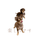 チルエイト君（個別スタンプ：1）