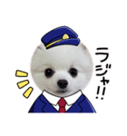 3ポメの日常（個別スタンプ：8）