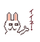 UsaCho(Rabbit)（個別スタンプ：2）