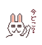 UsaCho(Rabbit)（個別スタンプ：3）