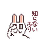 UsaCho(Rabbit)（個別スタンプ：10）