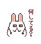 UsaCho(Rabbit)（個別スタンプ：14）