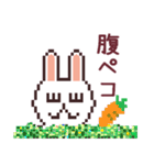 UsaCho(Rabbit)（個別スタンプ：17）