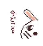 UsaCho(Rabbit)（個別スタンプ：21）