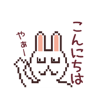 UsaCho(Rabbit)（個別スタンプ：23）