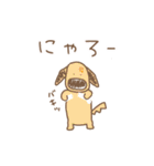 色を変える犬（個別スタンプ：13）