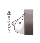 んなうにぽた（イヌ科）のスタンプ（個別スタンプ：34）