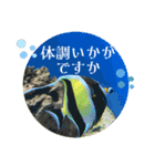 美しい日本語♡丁寧な印象♡自然天然の美（個別スタンプ：26）