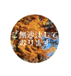 美しい日本語♡丁寧な印象♡自然天然の美（個別スタンプ：29）