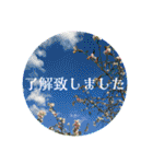 美しい日本語♡丁寧な印象♡自然天然の美（個別スタンプ：30）