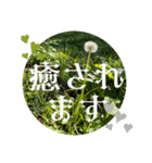 美しい日本語♡丁寧な印象♡自然天然の美（個別スタンプ：37）