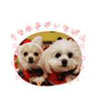 私のLUNA＆SEAです！！（個別スタンプ：1）