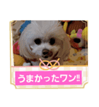 私のLUNA＆SEAです！！（個別スタンプ：2）