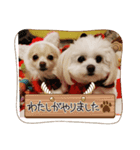 私のLUNA＆SEAです！！（個別スタンプ：3）