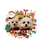 私のLUNA＆SEAです！！（個別スタンプ：4）
