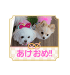 私のLUNA＆SEAです！！（個別スタンプ：7）