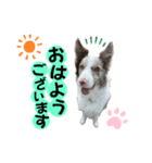 レオンとルーク（個別スタンプ：1）