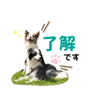 レオンとルーク（個別スタンプ：2）