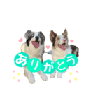 レオンとルーク（個別スタンプ：3）