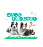 レオンとルーク（個別スタンプ：4）