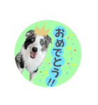 レオンとルーク（個別スタンプ：5）