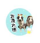 レオンとルーク（個別スタンプ：7）