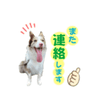 レオンとルーク（個別スタンプ：8）
