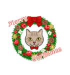 3びきの茶ねこ～クリスマス編～（個別スタンプ：2）