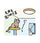 3びきの茶ねこ～クリスマス編～（個別スタンプ：19）