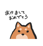 あけおめ柴犬（個別スタンプ：1）