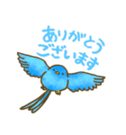 青い鳥めでたい✨年末年始✨（個別スタンプ：7）
