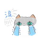 ふとまるねこの年末年始と普段使い（個別スタンプ：39）