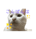 くみふめちゃんず（個別スタンプ：2）