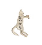 くみふめちゃんず（個別スタンプ：4）