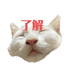 くみふめちゃんず（個別スタンプ：9）