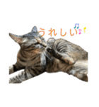くみふめちゃんず（個別スタンプ：14）