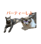 くみふめちゃんず（個別スタンプ：25）
