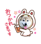 ぽん 2023（個別スタンプ：4）