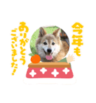 ぽん 2023（個別スタンプ：6）