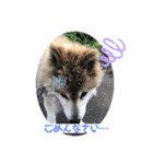 ぽん 2023（個別スタンプ：7）