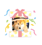ぽん 2023（個別スタンプ：8）
