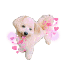 ろみろみろみお（1さい）（個別スタンプ：1）